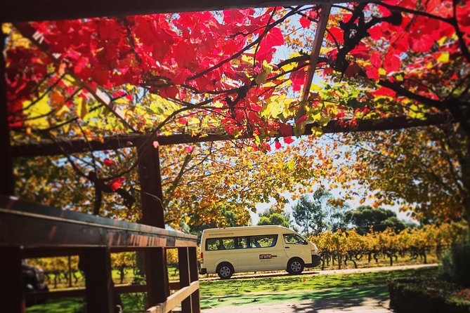 Ultimate Swan Valley Food and Wine Day Trip from Perth - Who should book this Swan Valley tour?