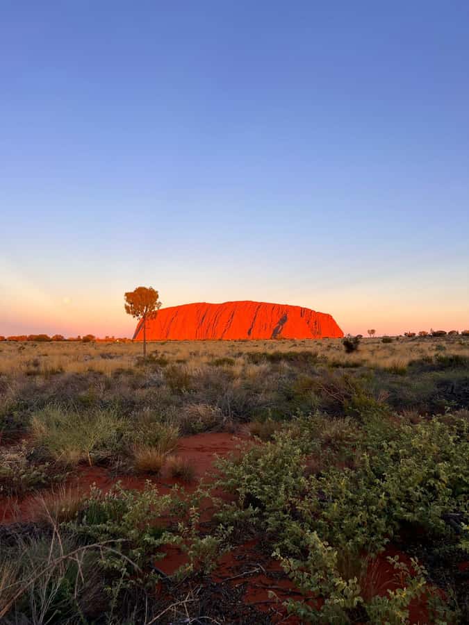 Uluru: 4-Day Rock to Rock Adventure Tour - Key points to know before booking