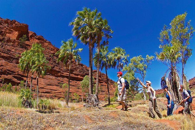 Uluru (Ayers Rock) Sunset + Outback Barbecue Dinner & Star Talk - Weather can rewrite the evening