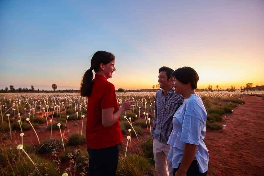 Uluru: Field of Light Sunrise Tour with Hot Drinks - Key points to know before you book