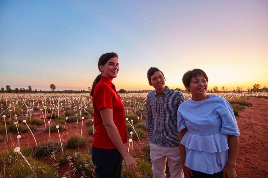 Uluru: Field of Light Sunrise Tour with Hot Drinks - My call: book it for the change in light
