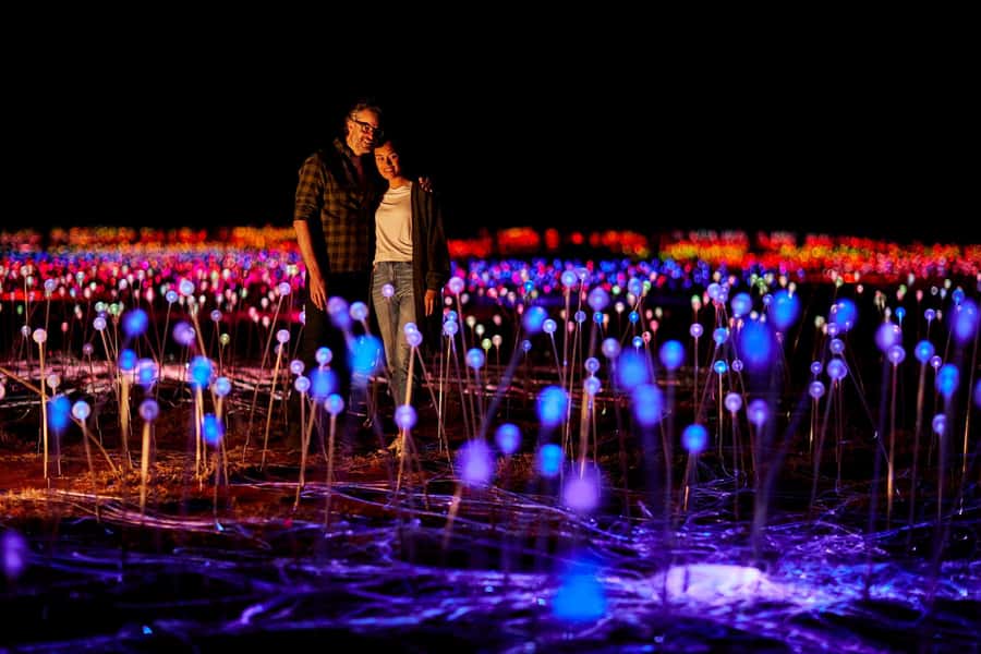 Uluru: Field of Light Sunrise Tour with Hot Drinks - Walking through 50,000 lights in the dark