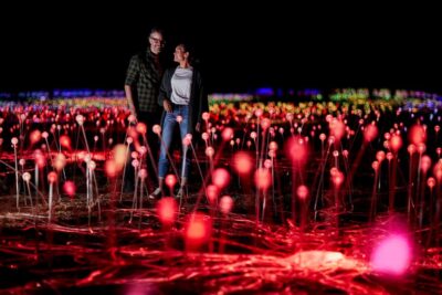 Field of Light Sunrise Tour with Hot Drinks