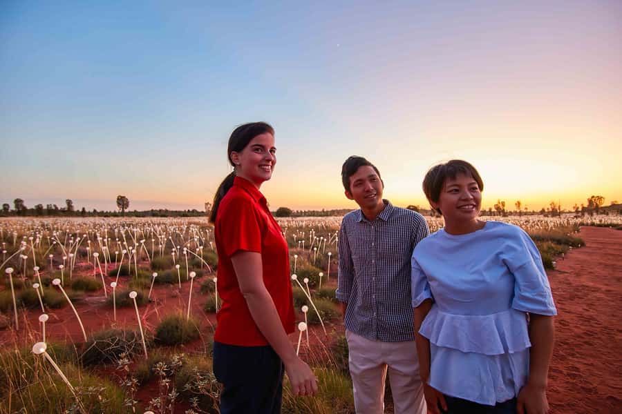 Uluru: Field of Light Sunrise Tour with Hot Drinks - Coffee, tea, hot chocolate, and the cold
