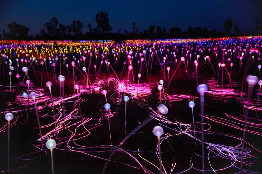 Uluru: Field of Light Sunrise Tour with Hot Drinks - What the two-hour schedule means for your day