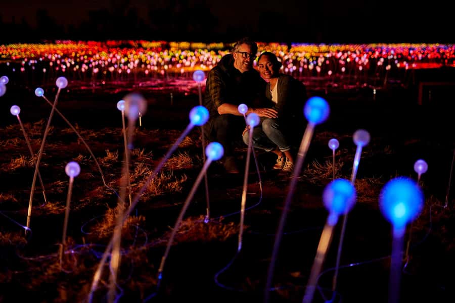 Uluru: Field of Light Sunrise Tour with Hot Drinks - Is the $91 price fair?