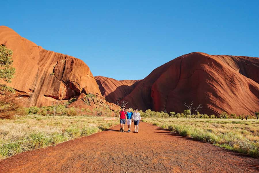 Uluru: Sacred Sites & Sunset Tour with Wine & Cheeseboard - The coach ride around Uluru gives you scale