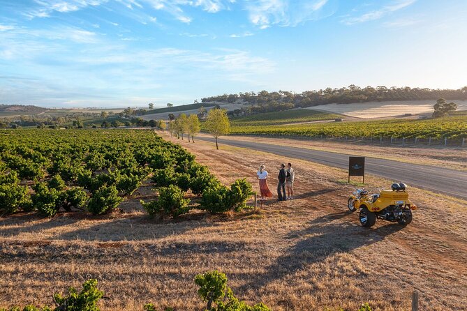 Unique Trike Barossa Valley Half Day Private Tour For 2 - Small cellar doors and a more personal tasting
