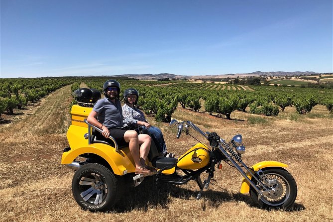 Unique Trike Barossa Valley Half Day Private Tour For 2 - Price and what the private format is worth
