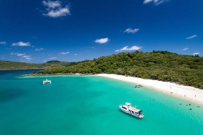 Viper: Great Barrier Reef Snorkel Including Whitehaven Hill Inlet - Lunch, snacks, and what you actually receive