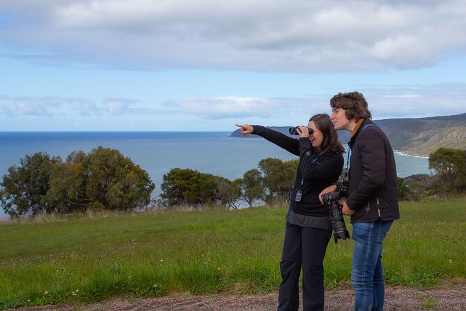 Walk with Wildlife: Guided Tour in Great Ocean Road - Following the path through four Otways habitats