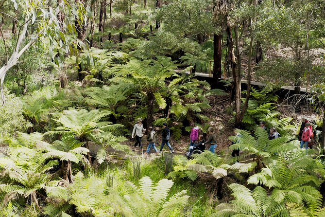 Walk with Wildlife: Guided Tour in Great Ocean Road - Why the Conservation Ecology Centre Research Hub matters