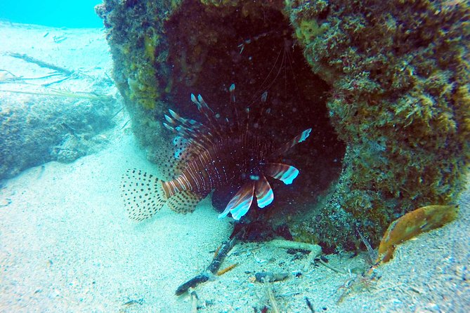 Wave Break Island Scuba Diving on the Gold Coast - How much value do you get for $87.46?