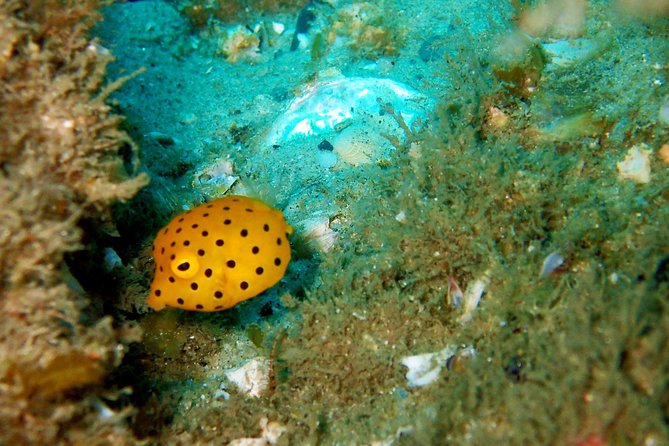 Wave Break Island Scuba Diving on the Gold Coast - The staff can make or break the day