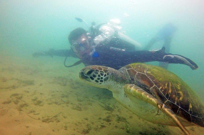 Wave Break Island Snorkel Tour on the Gold Coast - Who will get the most from this outing