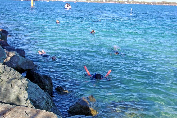 Wave Break Island Snorkel Tour on the Gold Coast - What the water time is really like