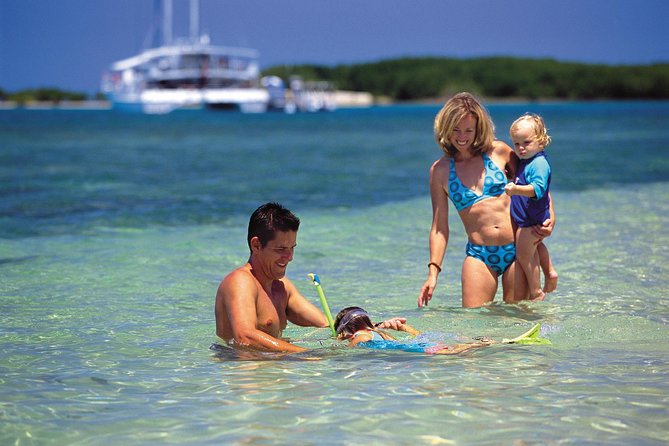 Wavedancer Low Isles Great Barrier Reef Sailing Cruise from Cairns - From Cairns to the Wavedancer at Port Douglas