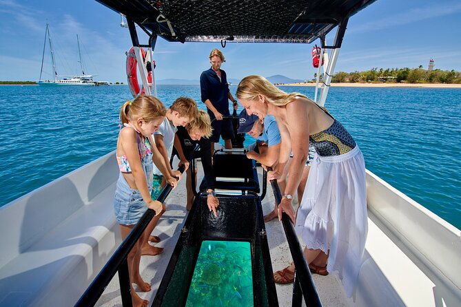 Wavedancer Low Isles Great Barrier Reef Sailing Cruise from Cairns - Snorkeling from the sandy beach