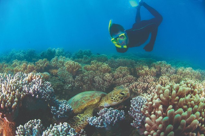 Wavedancer Low Isles Great Barrier Reef Sailing Cruise from Cairns - The crossing to Low Isles