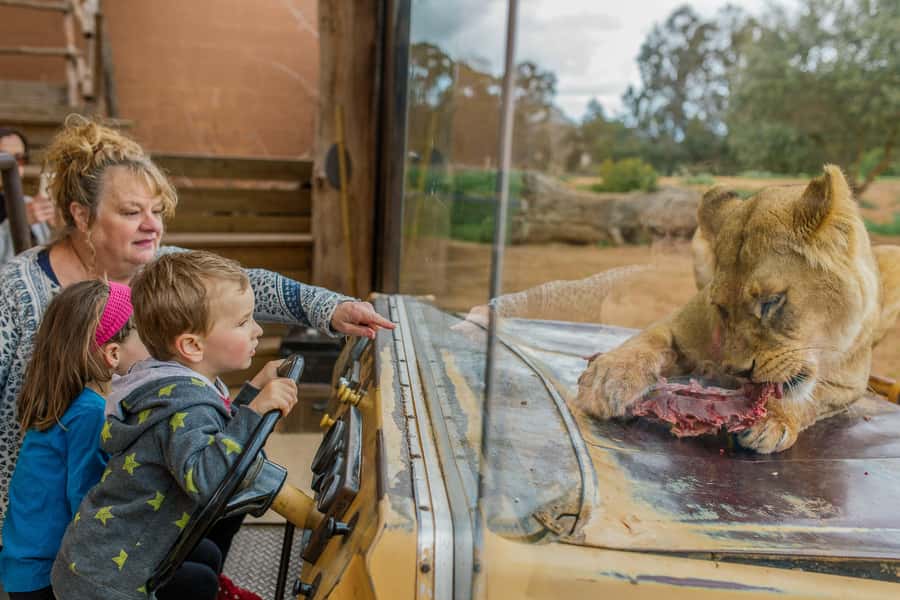 Werribee Open Range Zoo: Entry Ticket - Key points to know before you go