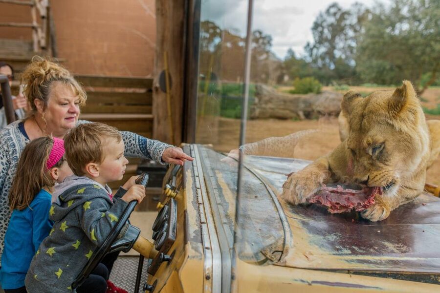 Werribee Open Range Zoo: Entry Ticket - Getting there from Melbourne