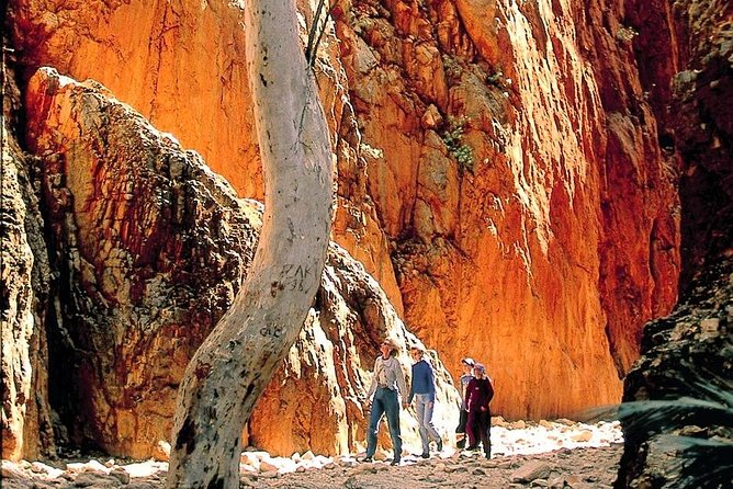 West MacDonnell Ranges Day Trip from Alice Springs - Why this day trip works so well from Alice Springs
