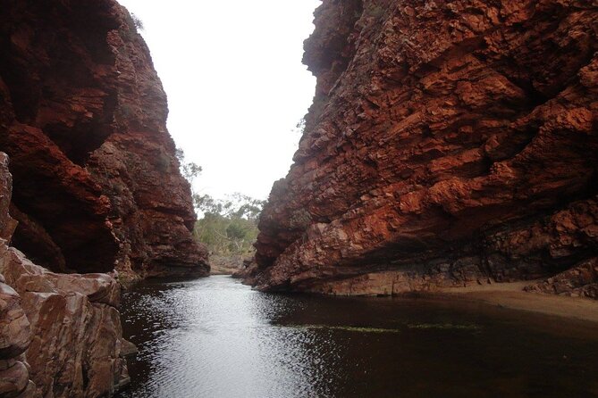 West MacDonnell Ranges Half day Tour -Small Group - Key points to know