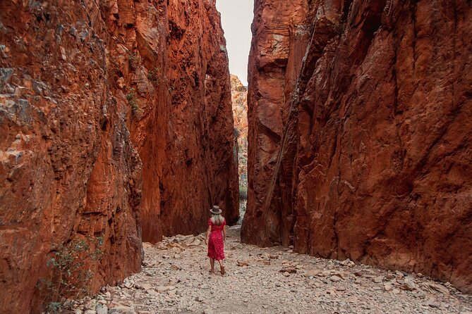 West MacDonnell Ranges Half day Tour -Small Group - Standley Chasm is the main walking stop