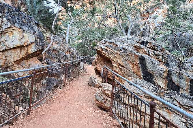 West MacDonnell Ranges Half day Tour -Small Group - Flynn’s Grave connects the region to outback service