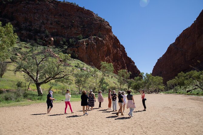 West MacDonnell Ranges & Standley Chasm Day Trip from Alice Springs - Ellery Creek Big Hole is the swimming highlight