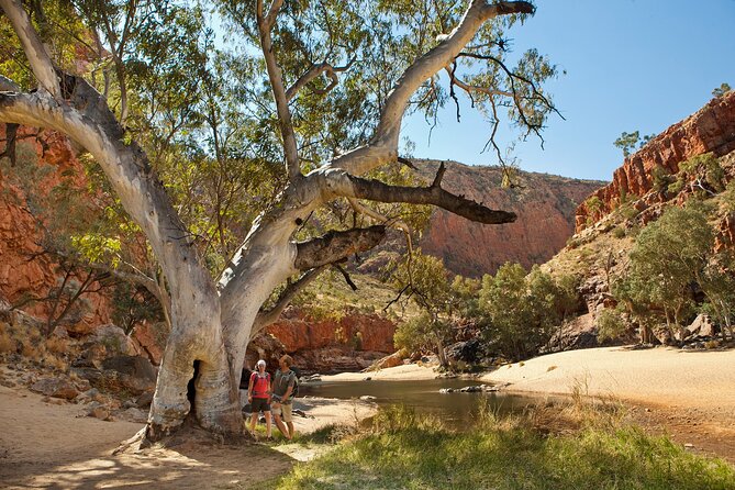 West MacDonnell Ranges & Standley Chasm Day Trip from Alice Springs - Standley Chasm and the Angkerle Atwatye walk