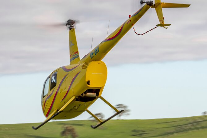 Western Ridge & Valley Floor: 20-Minute Helicopter Flight - The pre-flight photo and safety briefing