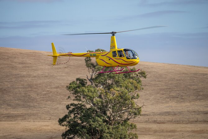 Western Ridge & Valley Floor: 20-Minute Helicopter Flight - Timing your visit around a Barossa day