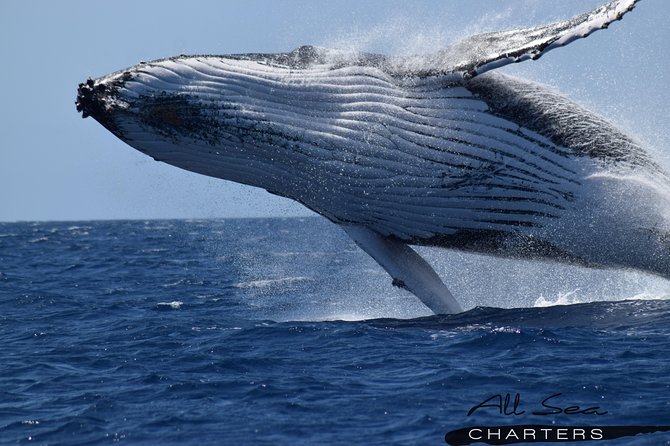 Whale Watching Busselton - Setting out from Port Geographe Marina