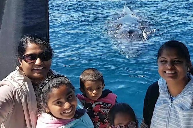 Whale Watching Dunsborough - Who will enjoy this cruise most?