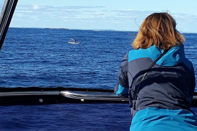 Whale Watching from Augusta in Western Australia - Comfort, sea sickness, and what to bring