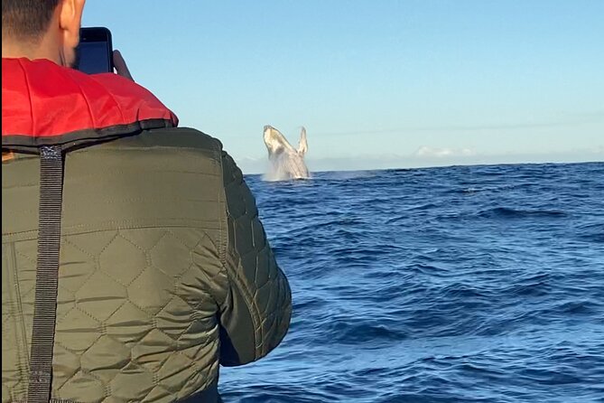 Whale Watching Gold Coast - The crew is part of the experience