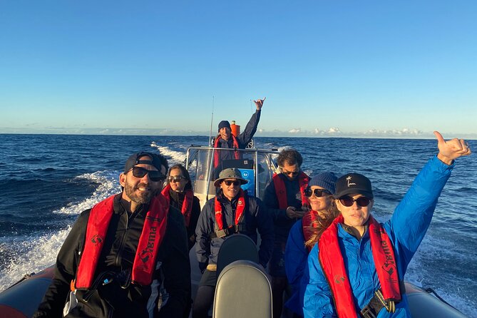 Whale Watching Gold Coast - Timing, meeting point, and cancellation details