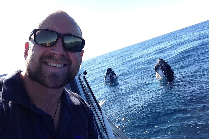 Whale Watching in Coffs Harbour - Watching humpbacks from the covered cabin