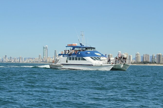 Whale Watching Tour with Spirit of Gold Coast - The whale guarantee and its limits