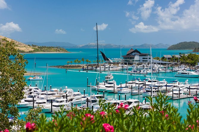 Whitehaven Beach and Hamilton Island Cruise from Airlie Beach - Lunch choices deserve close attention