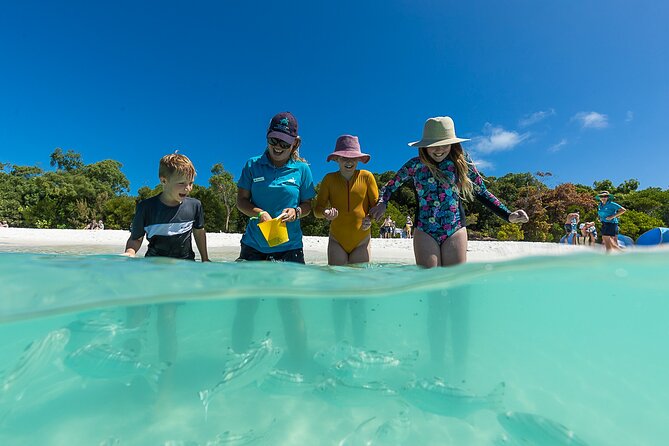 Whitehaven Beach and Hamilton Island Cruise from Airlie Beach - What the $139.67 price really covers