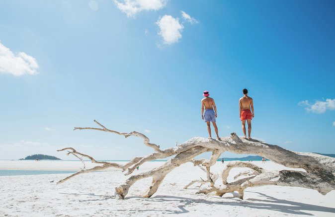 Whitehaven Beach and Hill Inlet Day Trip: Chill and Grill - The beach barbecue and what to expect at lunch