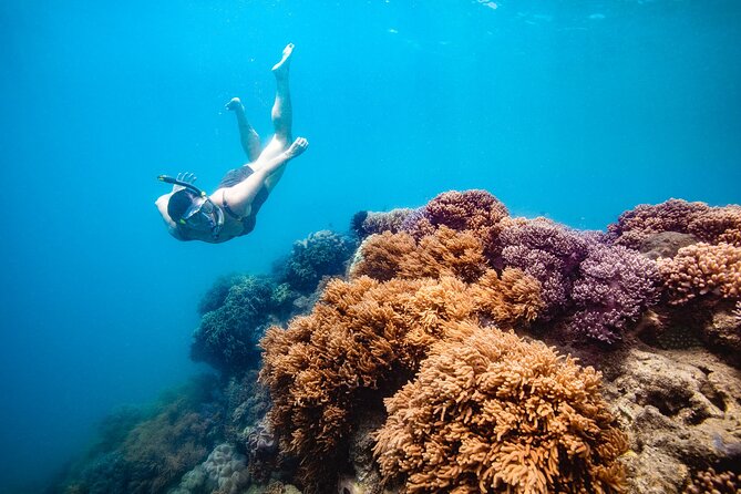 Whitehaven Beach and Hill Inlet Lookout Snorkeling Cruise - Key points to know before you book