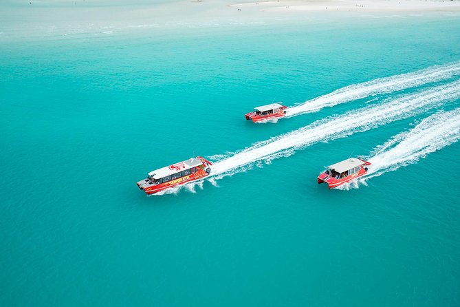 Whitehaven Beach and Hill Inlet Lookout Snorkeling Cruise - Who should book this day out