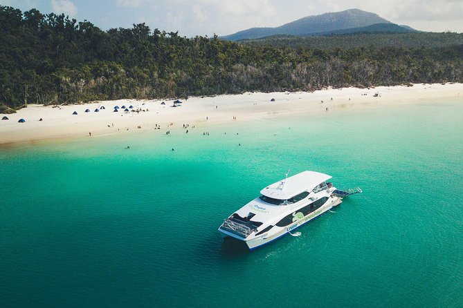 Whitehaven Beach Morning or Afternoon Tour - Swimming, stinger suits, and weather