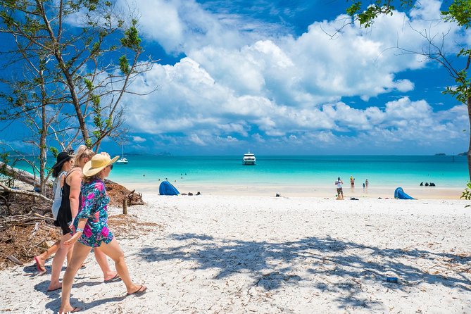 Whitehaven Beach Morning or Afternoon Tour - Why this tour does not include Hill Inlet