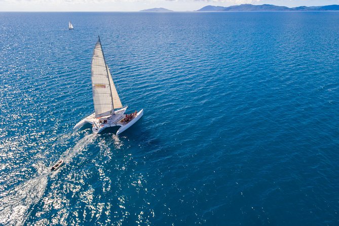 Whitehaven Beach Morning or Afternoon Tour - How the price compares with the time
