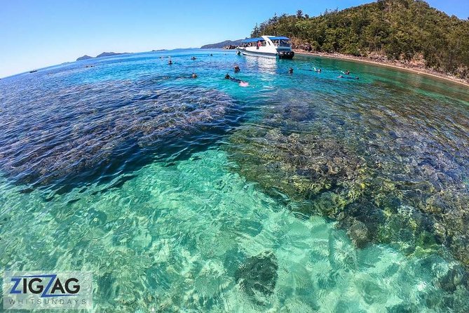Whitehaven Beach Tour: 2 Options - All Day Beach Or Snorkel - Lunch, snacks, and the practical comforts
