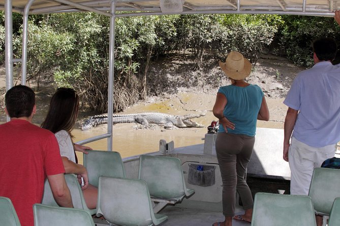 Whitsunday Crocodile Safari - From Airlie Beach to the Proserpine wetlands